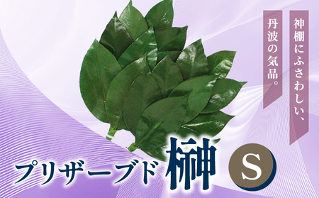 プリザーブド 榊 Sサイズ(1対 2束)[天然 国産 サカキ 神棚 神具 祭壇 玉串 神事 仏壇 仏花 お供え お墓 お盆 お彼岸 新盆 祭 水かえ不要 枯れない プリザーブドフラワー]