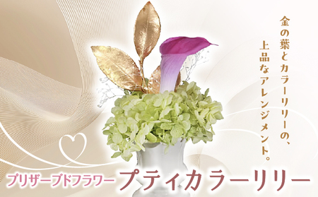 プリザーブドフラワー ギフト プティカラーリリー [花 フラワー 天然 国産 ギフト プレゼント 記念日 お祝い プチギフト 贈り物 お花 水かえ不要 枯れない プリザーブドフラワー]