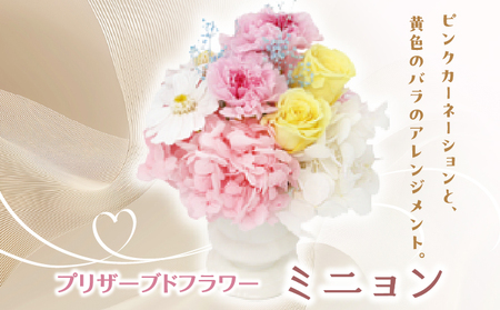 プリザーブドフラワー ギフト ミニョン [花 フラワー 天然 国産 ギフト プレゼント 記念日 お祝い プチギフト 贈り物 お花 水かえ不要 枯れない プリザーブドフラワー]