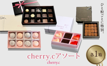 cherry.c ショコラ アソート[024-a011] [ チョコレート スイーツ ギフト バレンタイン ギフト 生チョコ トリュフ ショコラ デザート おやつ 詰め合わせ 高級 芦屋市 ]