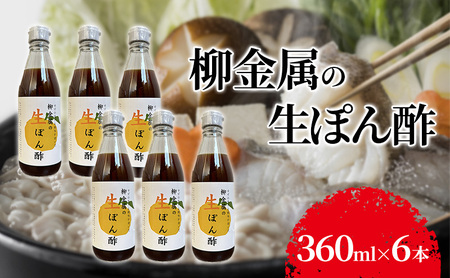 ̐ۂ|360ml×6{ || |Y 䂸 k    ґ m Mq Y 