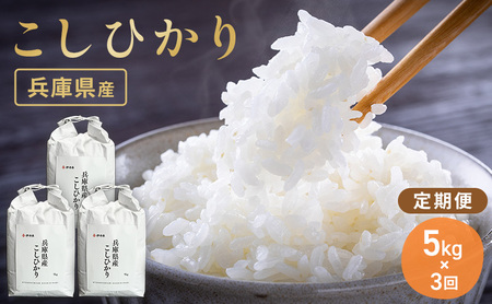  ߘa7NY ɌYRVqJ5kg 3   V  R  Ɍ ɒOs