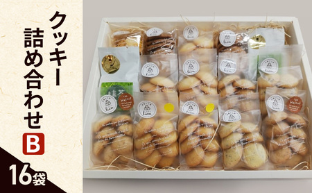 NbL[ lߍ킹 B(16) َq ĉَq  XC[c Mtg 蕨 ɒOs 