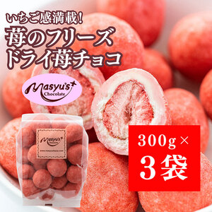 苺のフリーズドライ苺チョコ900g 300gx3袋 4月〜10月発送 チョコレート チョコ スイーツ お菓子 おかし いちご ホワイトチョコ イチゴ パウダー ギフト プレゼント 兵庫県 伊丹市