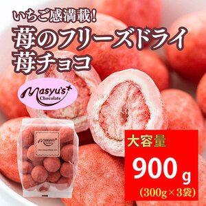 䕂̃t[YhC䕃`R900g 300gx3 11`3 `R[g `R XC[c َq   zCg`R C`S pE_[ Mtg v[g Ɍ ɒOs