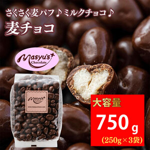 麦チョコ 750g 250gx3袋 4月〜10月発送 チョコレート チョコ スイーツ お菓子 おかし 麦 ミルクチョコ ギフト プレゼント 兵庫県 伊丹市