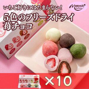 5色の苺チョコ 5粒×10箱 4月〜10月発送 チョコレート チョコ スイーツ お菓子 おかし 苺 ミックス ミルクチョコ ホワイトチョコ 苺チョコ 抹茶チョコ ギフト プレゼント 兵庫県 伊丹市