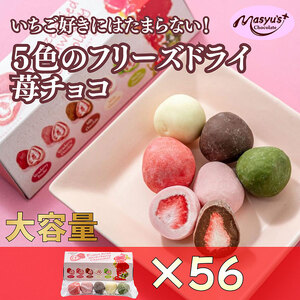 5F䕃`R 5×56 11`3 `R[g `R XC[c َq     ~bNX  ~N`R  zCg`R  䕃`R  `R  Mtg v[g Ɍ ɒOs
