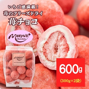 苺のフリーズドライ苺チョコ600g 300gx2袋 11月〜3月発送 チョコレート チョコ スイーツ お菓子 おかし いちご イチゴチョコ イチゴ パウダー ギフト プレゼント 兵庫県 伊丹市