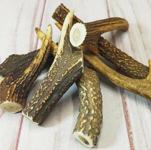 ワンちゃんの健活グッズ  シカの角 (中型犬用) 3本入り