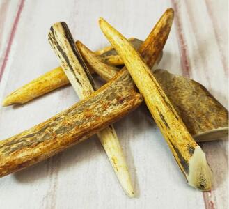 ワンちゃんの健活グッズ  シカの角 (小型犬用) 3本入り