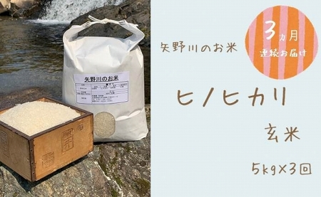 [定期便・全3回]矢野川のお米 ヒノヒカリ玄米5kgx3回