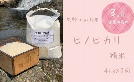[定期便・全3回]矢野川のお米 ヒノヒカリ精米4kgx3回