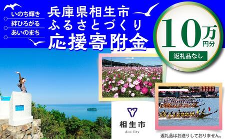 【返礼品なし】兵庫県相生市への寄付（100,000円分）