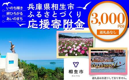 【返礼品なし】兵庫県相生市への寄付（3,000円分）