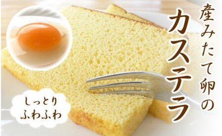 産みたて卵たっぷり!カステラ 1本