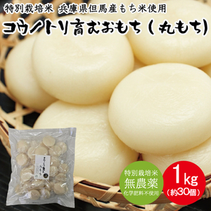 コウノトリ育むおもち 1kg(約30個入り)