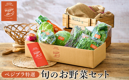 旬のお野菜を新鮮な状態でお届け!ベジプラ特選 旬の野菜セット / 詰め合わせ セット 新鮮 ギフト やさい 産地直送 苦みが少ない 甘みが強い[例:キャベツ 白菜 ミニトマト レタス とろり葱 ほうれん草 など ] [Veggie de +]