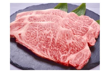 極上但馬牛 サーロインステーキ 500g / 但馬牛 黒毛和牛 霜降り サーロイン ステーキ 赤身 ステーキ肉 焼肉 国産牛 和牛 肉 牛肉 特産品 お祝い ギフト【但馬ビーフはまだ】