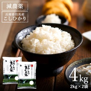 [令和5年産]コウノトリ育むお米減農薬[2kg×2袋](94-003)