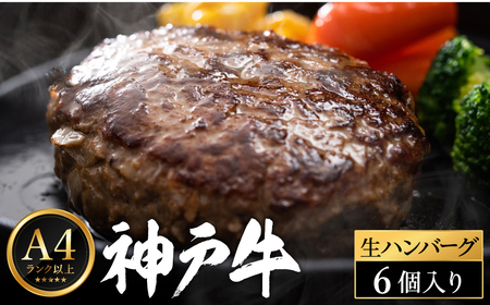 神戸牛 生ハンバーグ (100g×6個)