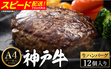 _ˋ no[O i100g×12j