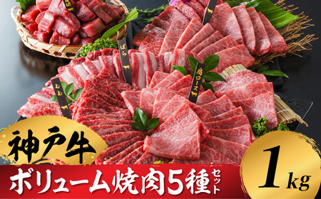 神戸牛 ボリューム焼肉セット 肩ロース 肩 モモ バラ 赤身角切り 1kg / 焼肉 食べ比べ 牛肉 小分け (200g×5種) 密着包装 赤身 霜降り国産牛 セット 焼き肉 冷凍 国産牛 ブランド 黒毛和牛 神戸ビーフ 化粧箱入り ギフト[帝神志方ミート]