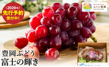 [2026年先行予約]豊岡ぶどう 富士の輝き 600g / 豊岡ブドウ 産地直送 濃厚 甘味 コク 皮ごと 食べられる 減農薬 ぶどう ブドウ 葡萄 果物 くだもの フルーツ ふくい農園