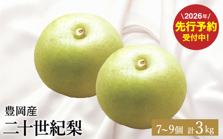 [2026年先行予約]二十世紀梨 3kg(7〜9個) / 梨 産地直送 みずみずしい シャリシャリ 食感 さっぱり バランスの良い 酸味 甘味 減農薬 なし ナシ 果物 くだもの フルーツ ふくい農園