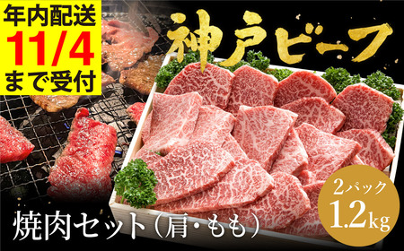 _ˋ ēZbg  ēp   v600g×2P (TYY2-2) item1362-56-2yAncƁzy11/4 󒍕܂ŔNz