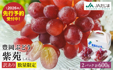 [2026年先行予約]数量限定 訳あり 豊岡ぶどう「紫苑」 約300g×2パック/ 紫苑 しえん ブドウ 葡萄 訳ありぶどう 大粒 強い甘み 爽やかな酸味 新鮮 果物 産地直送 くだもの フルーツ 上品 香り