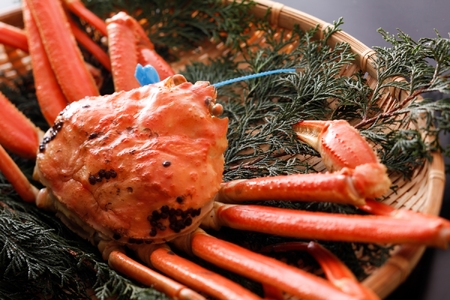 ykinosaki spa&gardens@ygpz^O 䥂ŏtKj@700g