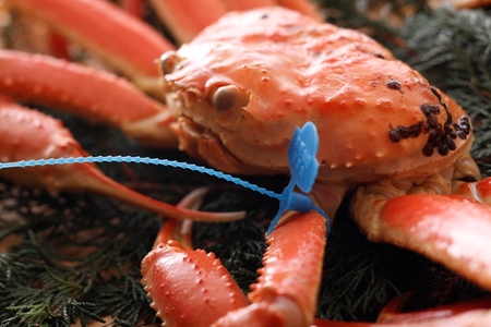 y󂠂z^O 䥂ŏtKj900gO