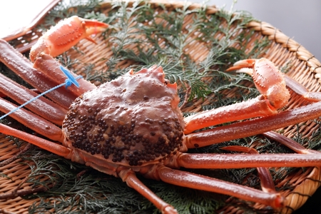 ykinosaki spa&gardens@ygpz^O tKj@700g