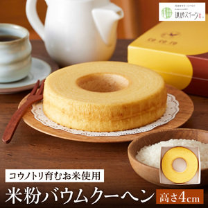 (REmgނĎgp)ĕoEN[wiH4cmj 2