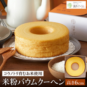 (REmgނĎgp)ĕoEN[wiH6cmj 3