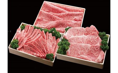 神戸牛 フルコースセット[4.4kg](TY-FC30) item1373 / 牛肉 霜降り 但馬牛 黒毛和牛 和牛 国産牛 肩 モモ ロース 焼き肉 ステーキ肉 すき焼き肉 神戸ビーフ 太田牧場[但馬牛太田家]