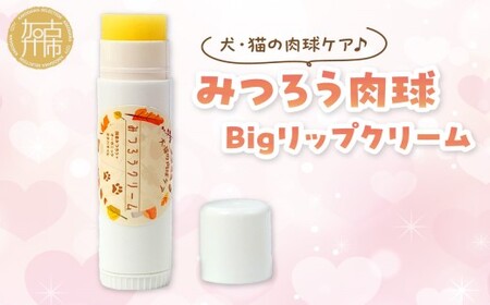 みつろう肉球クリーム Bigリップクリーム [ ペットグッズ 犬 ケア みつろう リップクリーム クリーム ホホバオイル ][2400N13310]