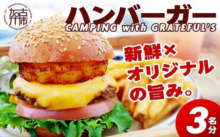 ハンバーガー パテの返礼品 検索結果 | ふるさと納税サイト「ふるなび」