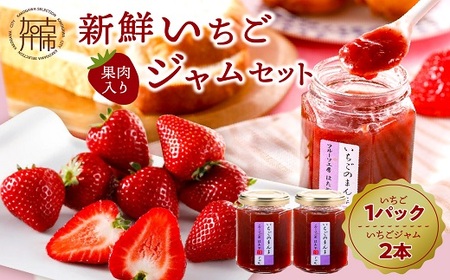 ͂̐VNʓW̃Zbg[12{菇]s ӂ邳Ɣ[ł C`S  t[cH[͂  t[c W  ty2401C09702z