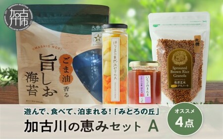 遊んで、食べて、泊まれる!「みとろの丘」加古川の恵みセットA[ いちごジャム 玄米 グラノーラ ピクルス のり 海苔 セット ][2401I14805]