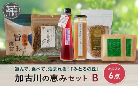 遊んで、食べて、泊まれる!「みとろの丘」加古川の恵みセットB[ いちごシロップ 玄米グラノーラ ふりかけ オニオンドレッシング のり ドリップコーヒー セット ][2402I14806]