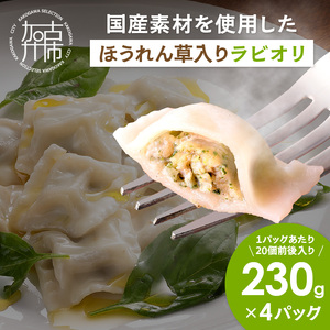 国産素材のほうれん草入りラビオリ(230g×4)[ ほうれん草 ラビオリ 生パスタ おかず 副菜 もちもち 一口サイズ ][2400I15937]