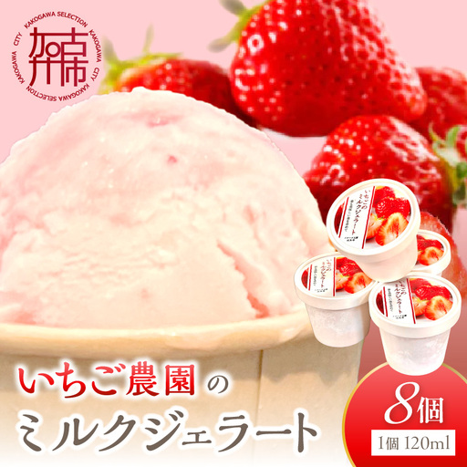 いちごミルクジェラート[ ジェラート アイス カップ いちご ミルク スイーツ ][2501H09703]