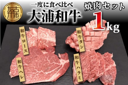 大浦和牛焼肉セット(1kg)[牛肉 牛 国産 焼肉 セット おすすめ ロース 美味しい 牛タン ハラミ ヒレ 食べ比べ バーベキュー][2405A00206]