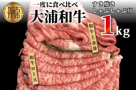 大浦和牛すきやき・しゃぶセット(1kg)[2405A00207]