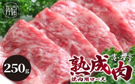 「熟成肉」焼肉(250g)[焼肉 熟成肉 ロース 牛肉 ロース 250g 牛 国産 和牛 おすすめ こだわり セット バーベキュー ブレンド塩 旨味 加古川市][2402A00405]