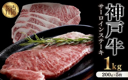 _ˋT[CXe[L(200g×5)s Жq꒼ _ˋ ̃qC T[CXe[L 1L ē Ða T[C ty2412A00105z