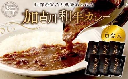 加古川和牛カレー(6食入)《 おすすめ カレー 人気 和牛カレー カレーメシ レトルト おいしい お取り寄せ ギフト 一人暮らし 簡単調理 仕送り 時短 送料無料 》【2401I00302】