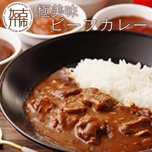 極美味ビーフカレー 4個セット[レギュラー2個・マイルド2個][ おすすめ カレー 人気 レトルト 牛肉 ビーフカレー セット 詰め合わせ お取り寄せ グルメ 送料無料 ][2401I00801]